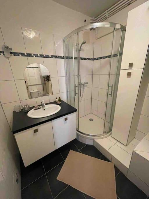 Appartement 2 Chambres Au Coeur De Страсбург Екстер'єр фото